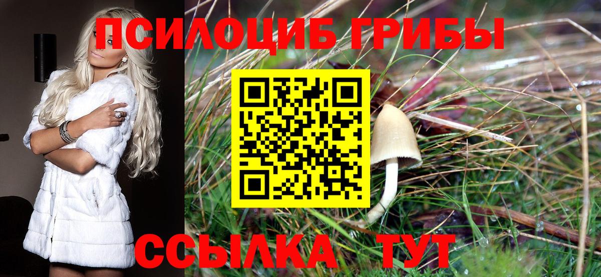 Ефремов  Псилоцибиновые грибы GOLDEN TEACHER  Вход с VPN 