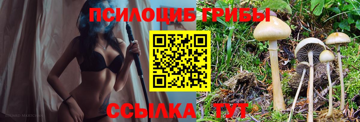 Галлюциногенные грибы мицелий Ефремов